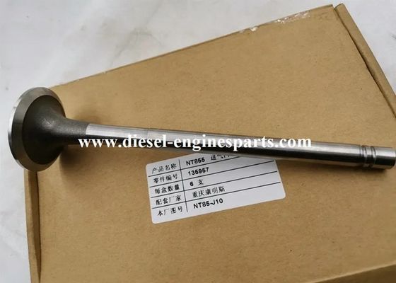 TS16949 Intake Exhaust Valves Polished Surface Cummins Inlet Valves
