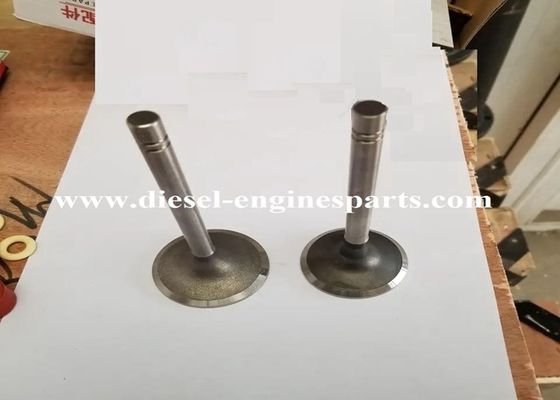 Cater3306 Intake Valve Exhaust Valve