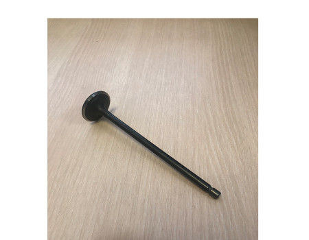 FL913 Intake Exhaust Valve For High Pressure Conditions